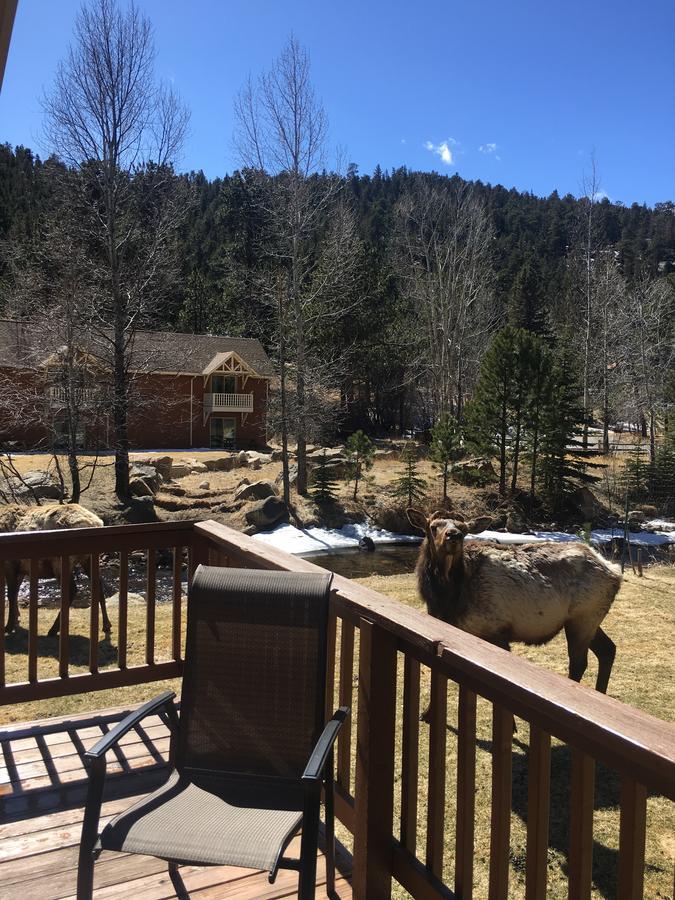 Riverview Pines Villa Estes Park Esterno foto