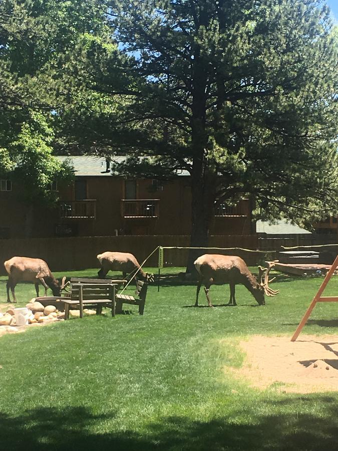 Riverview Pines Villa Estes Park Esterno foto