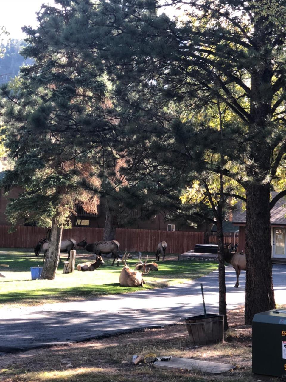 Riverview Pines Villa Estes Park Esterno foto
